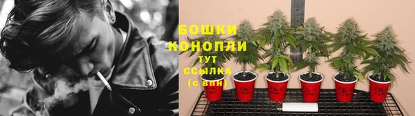PSILOCYBIN Михайловск