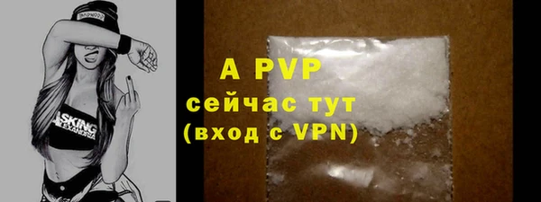 PSILOCYBIN Михайловск